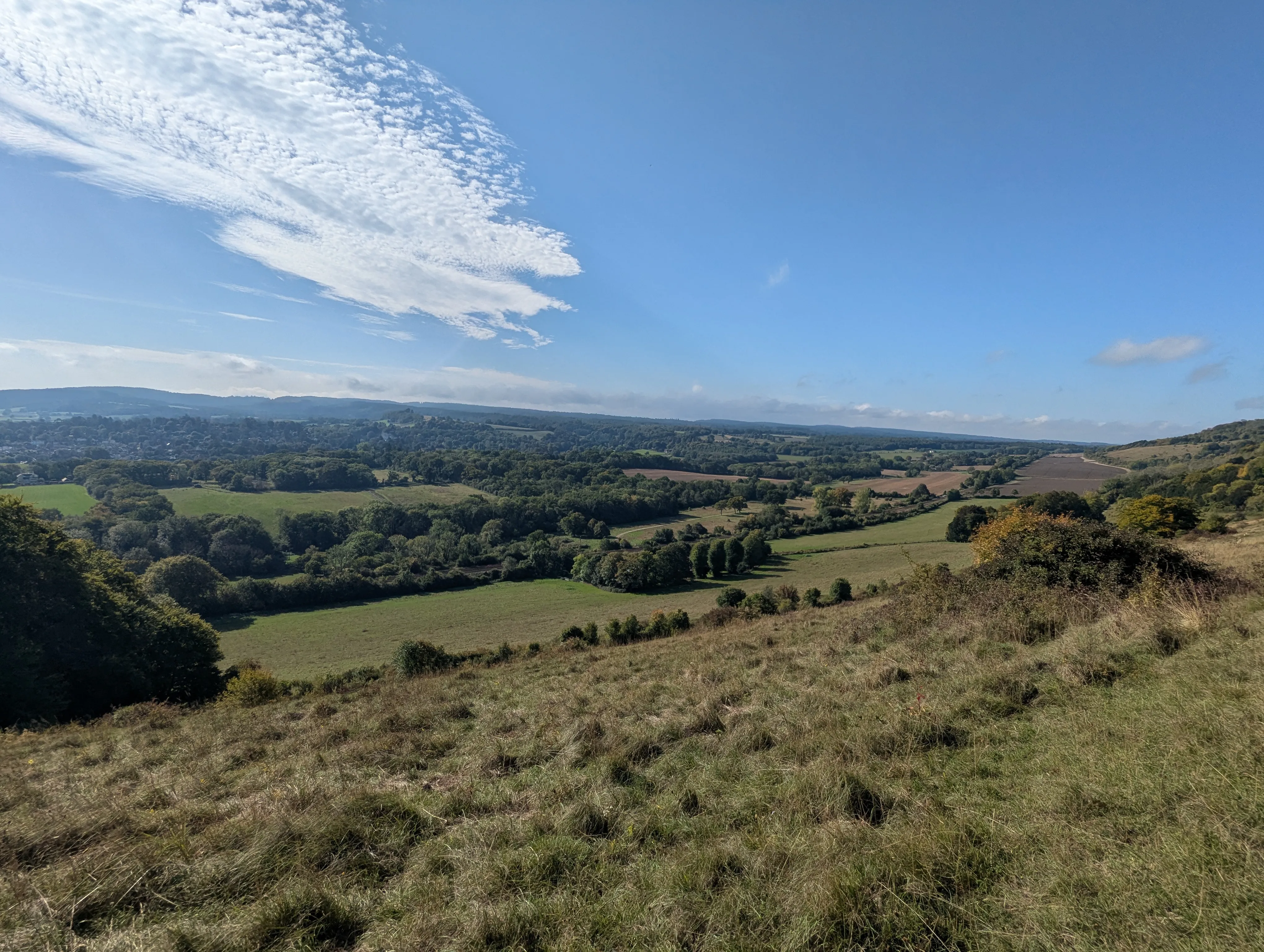 A vista from an executive coching walk of the Surrey hills