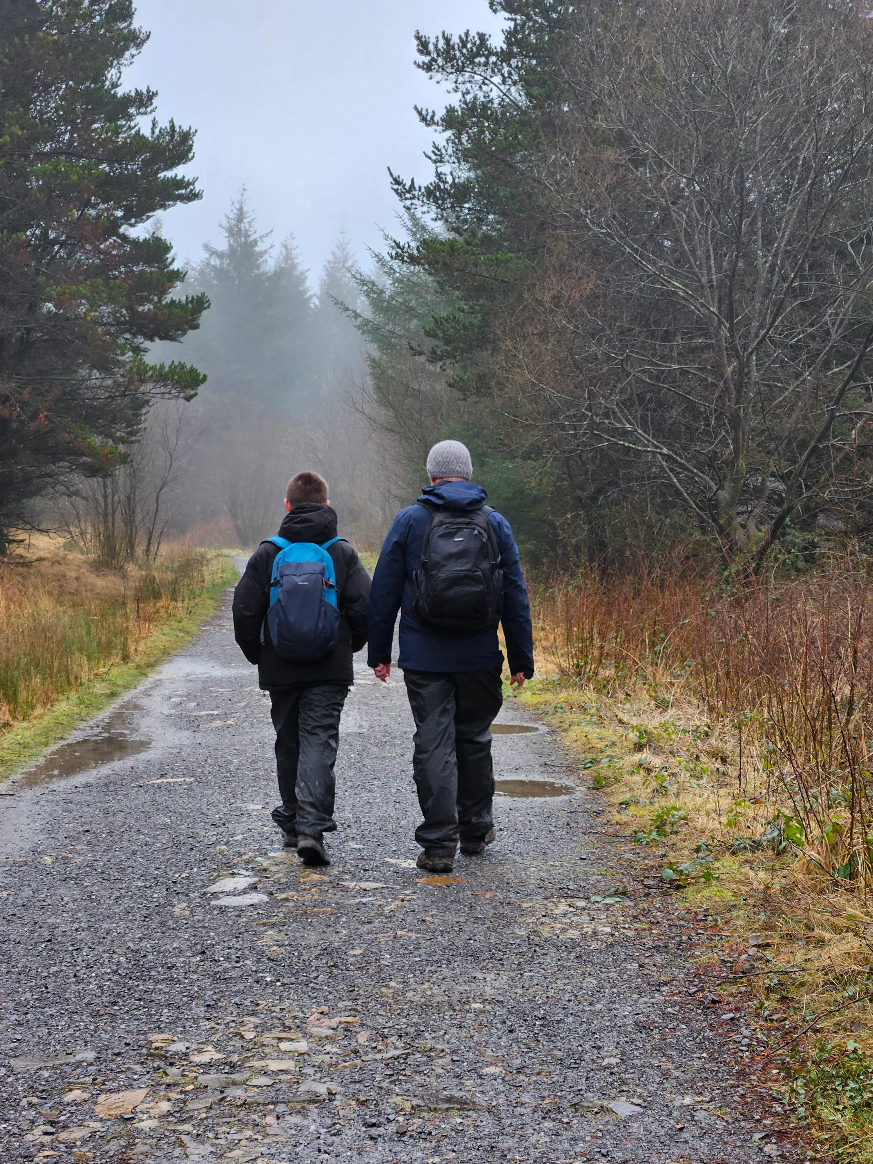 Shadow of two people on a boardwalk during an executive coaching walk